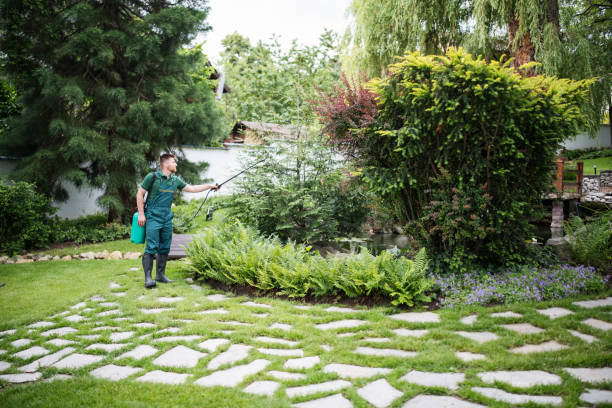 Best Affordable Pest Control Services  in Granger, TX