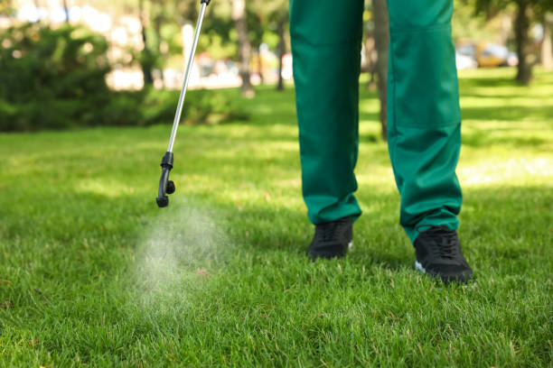 Best Local Pest Control Services  in Granger, TX