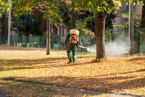 Best Pest Control Treatment  in Granger, TX