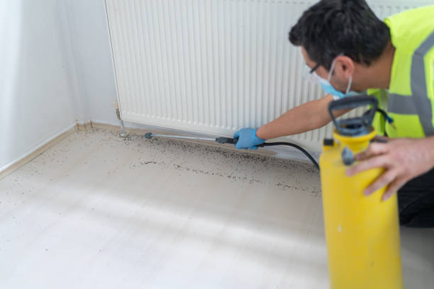 Best Best Pest Control Companies  in Granger, TX
