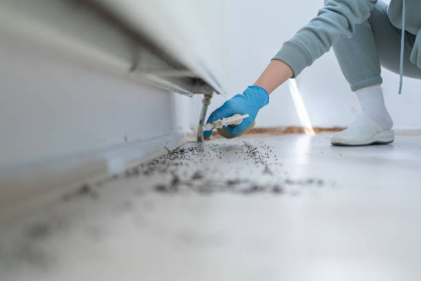 Best Cockroach Control Services  in Granger, TX